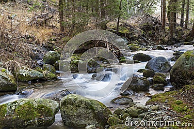 Fast mountain river in forest. Ziarska valley. Western Tatras. Slovakia Stock Photo